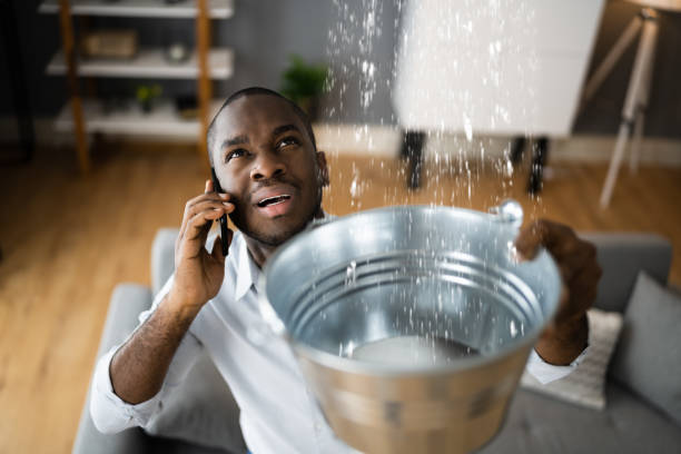 Best Water damage restoration near me  in Mount Ivy, NY