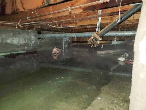 Best 24-hour water damage restoration  in Mount Ivy, NY