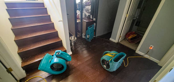 Best Sewage cleanup and water damage restoration  in Mount Ivy, NY