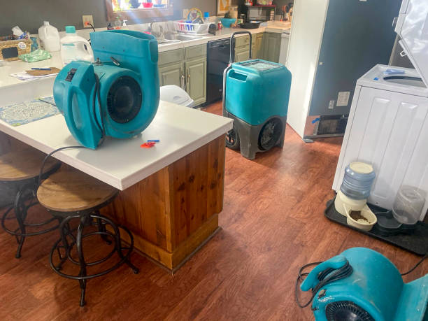 Best Water damage restoration insurance claims  in Mount Ivy, NY