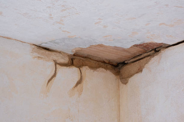 Best Professional water damage repair  in Mount Ivy, NY