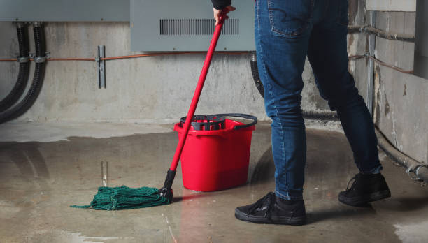 Best Flood restoration services  in Mount Ivy, NY
