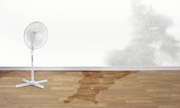 Best Emergency water damage restoration  in Mount Ivy, NY