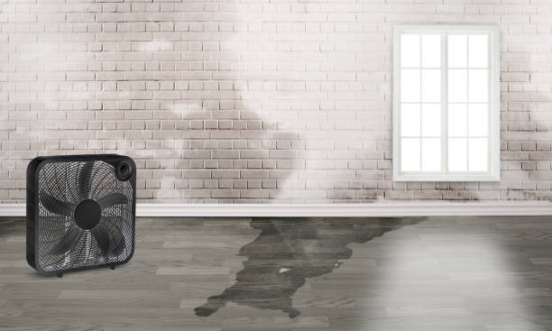 Reliable Mount Ivy, NY Water damage restoration Solutions