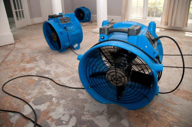  Mount Ivy, NY Water damage restoration Pros