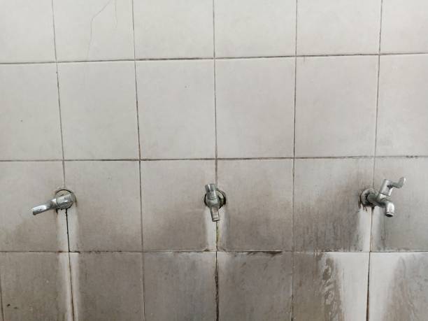 Best Commercial water damage restoration  in Mount Ivy, NY
