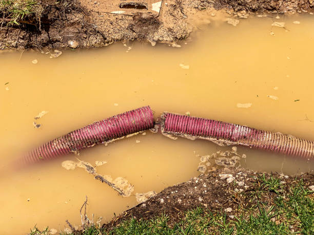 Best 24/7 water damage repair  in Mount Ivy, NY