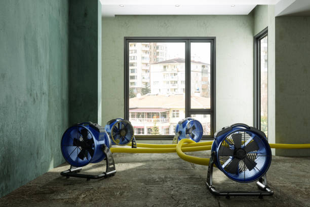 Best 24/7 water damage repair  in Mount Ivy, NY